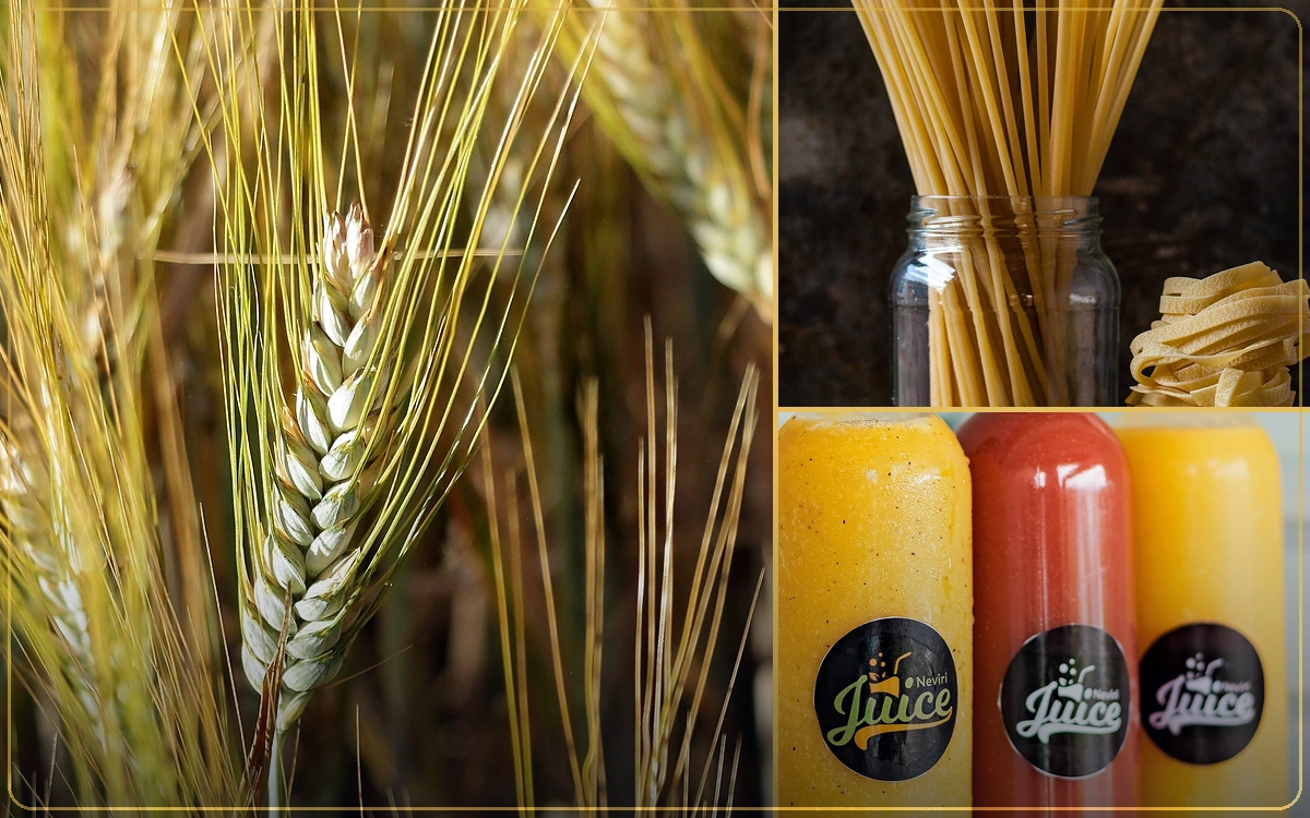 Food & Beverages